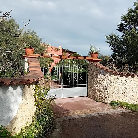 Апартаменты Il Vecchio Lentisco Альгеро Экстерьер фото